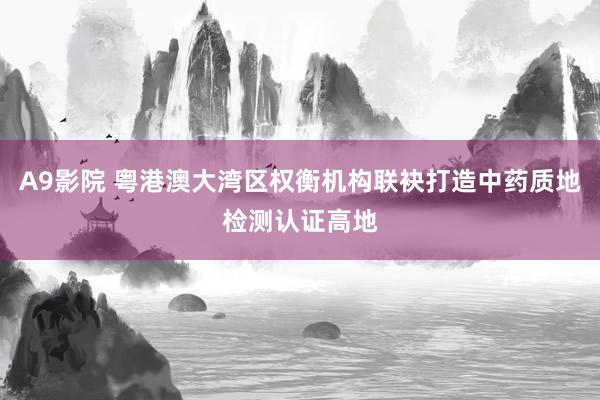 A9影院 粤港澳大湾区权衡机构联袂打造中药质地检测认证高地