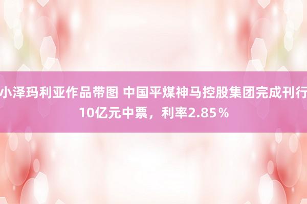 小泽玛利亚作品带图 中国平煤神马控股集团完成刊行10亿元中票，利率2.85％