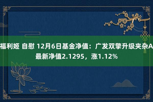 福利姬 自慰 12月6日基金净值：广发双擎升级夹杂A最新净值2.1295，涨1.12%