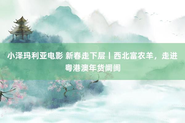 小泽玛利亚电影 新春走下层丨西北富农羊，走进粤港澳年货阛阓