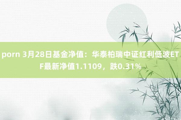porn 3月28日基金净值：华泰柏瑞中证红利低波ETF最新净值1.1109，跌0.31%